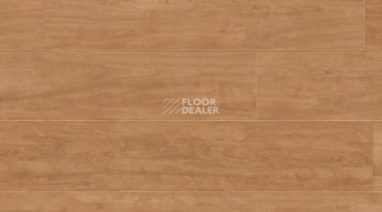 Кварцвиниловые полы Creation 70 0262 Elm фото 1 | FLOORDEALER